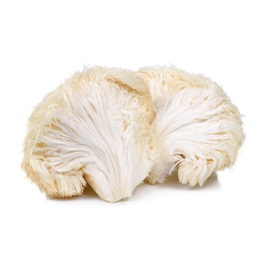 Dried Biodynamic Lion's Mane (Hericium Erinaceus)